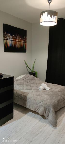 Pau hypercentre Studio LM